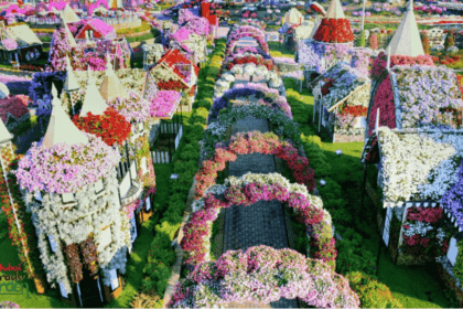 Dubai miracle garden is open for its 12th season