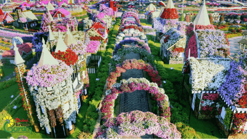 Dubai miracle garden is open for its 12th season