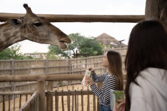 dubai safari park