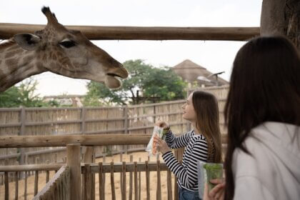 dubai safari park